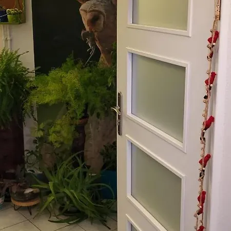 Husovka - Polly Privat bolig Bruntál