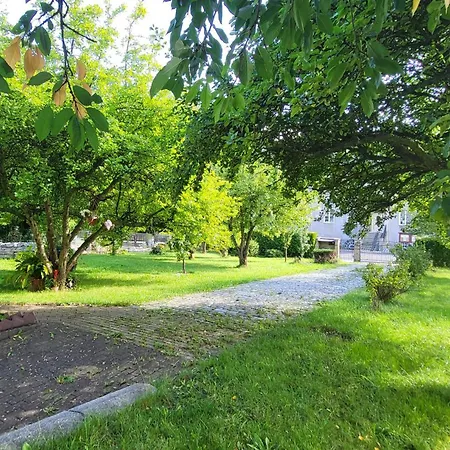 Kwatera prywatna Husovka - Polly